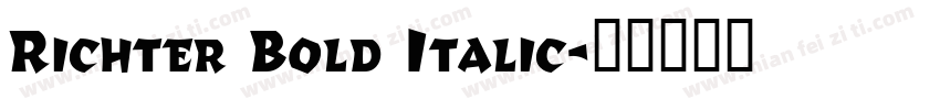 Richter Bold Italic字体转换